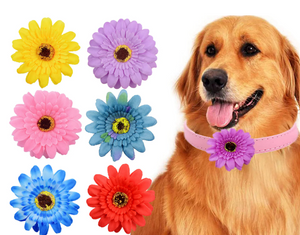 Big Flower Collar (50 pieces)