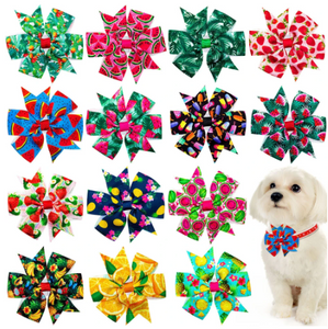 Bright Summer Pinwheel (50 pieces)