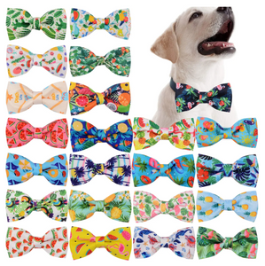 Summer Collar BowTies (50 pieces)