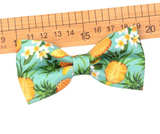 Summer Collar BowTies (50 pieces)