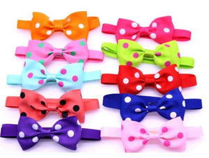 Bulk Polkadot Bow Ties (60 Pieces)