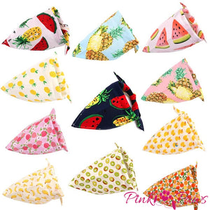 Fruit Bandana - Medium (50 Pieces)