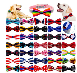 Pattern Collar BowTies (30 pieces)